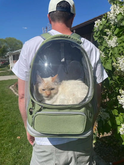 Transparent Cat Backpack: Space Capsule Design & Breathable